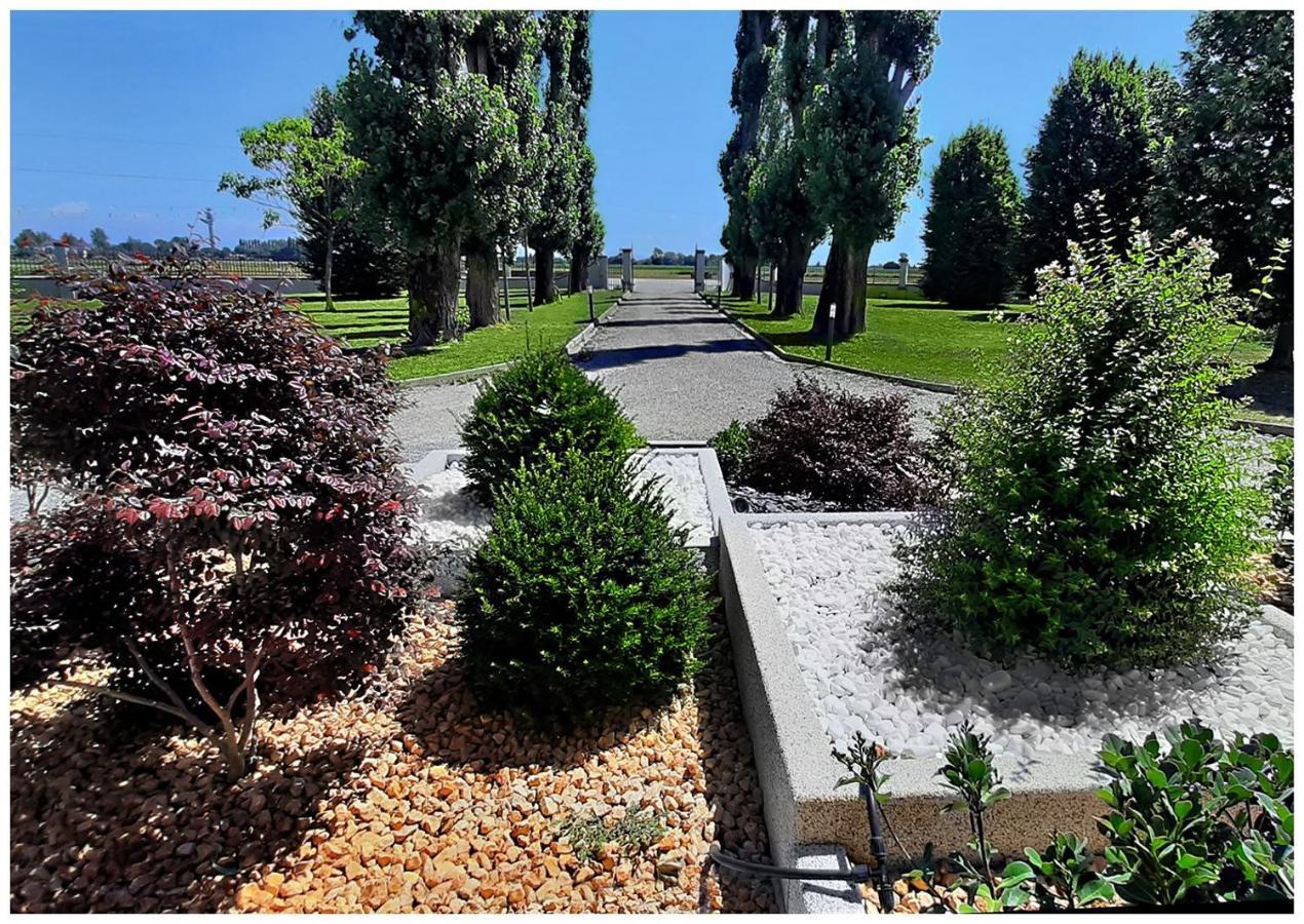 Villa Agricolae Agriturismo Marina  ภายนอก รูปภาพ